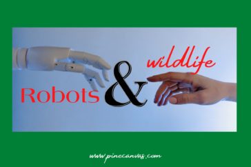 robots and wildlife